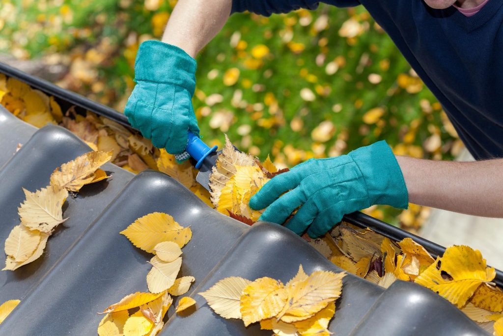 A person cleaning leaves out of a roof gutter with a gardening shovel