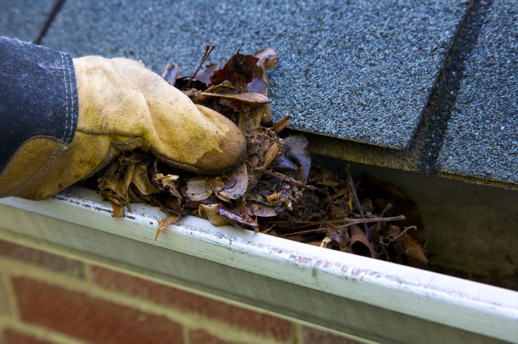 Close up of a hand wearing a work glove pulling leaves out of a gutter