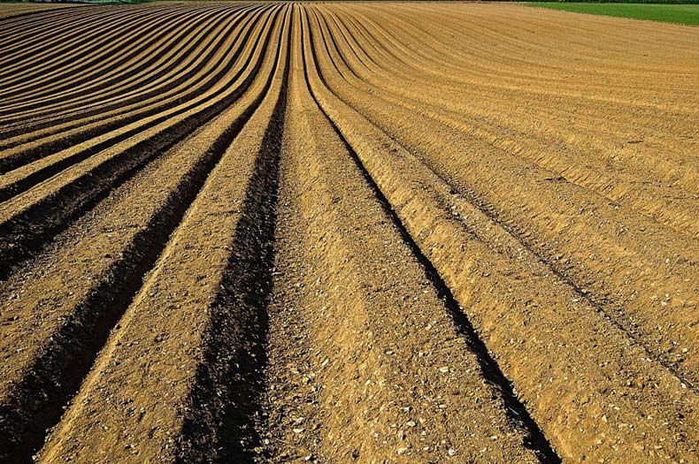 A large field on a farm with dirt tilled and plowed into rows