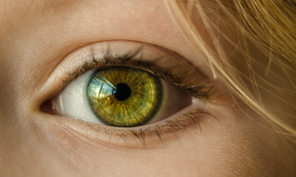 A green eye with a wisp of blonde hair on the eyebrow.