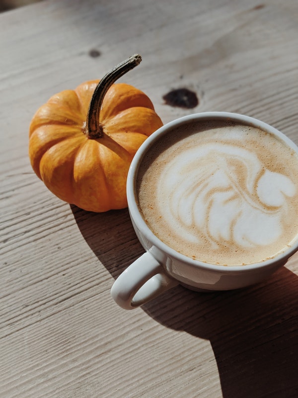 Miniature orange pumpkin resting by a cup of hot cocoa in a white mug