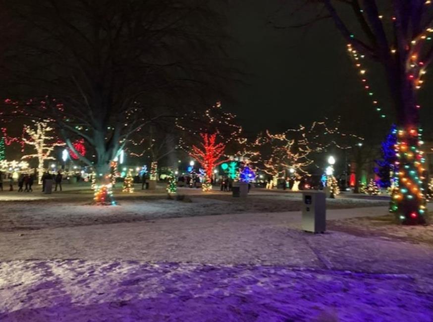 Christmas lights on trees at night time in Kalamazoo, Michigan.