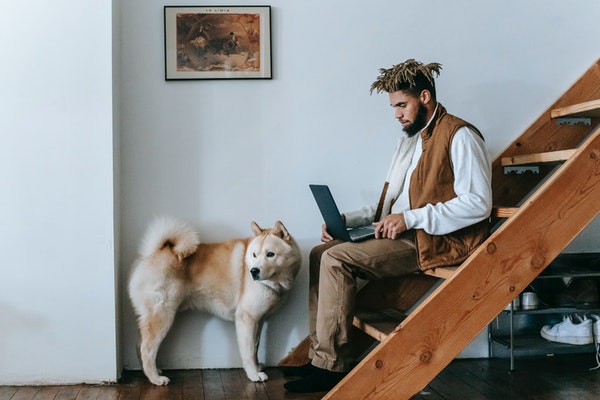 Man sitting on stairs by his dog and working on a laptop