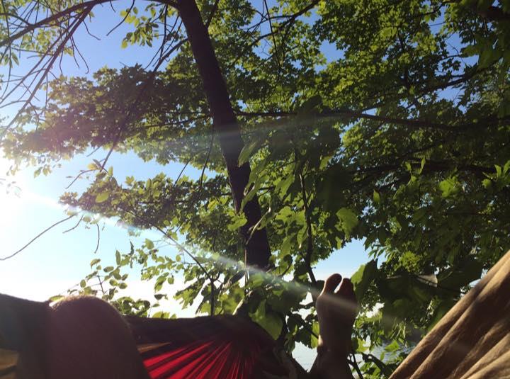 A red hammock under trees in Up North Michigan with rays of sunlight poking through.
