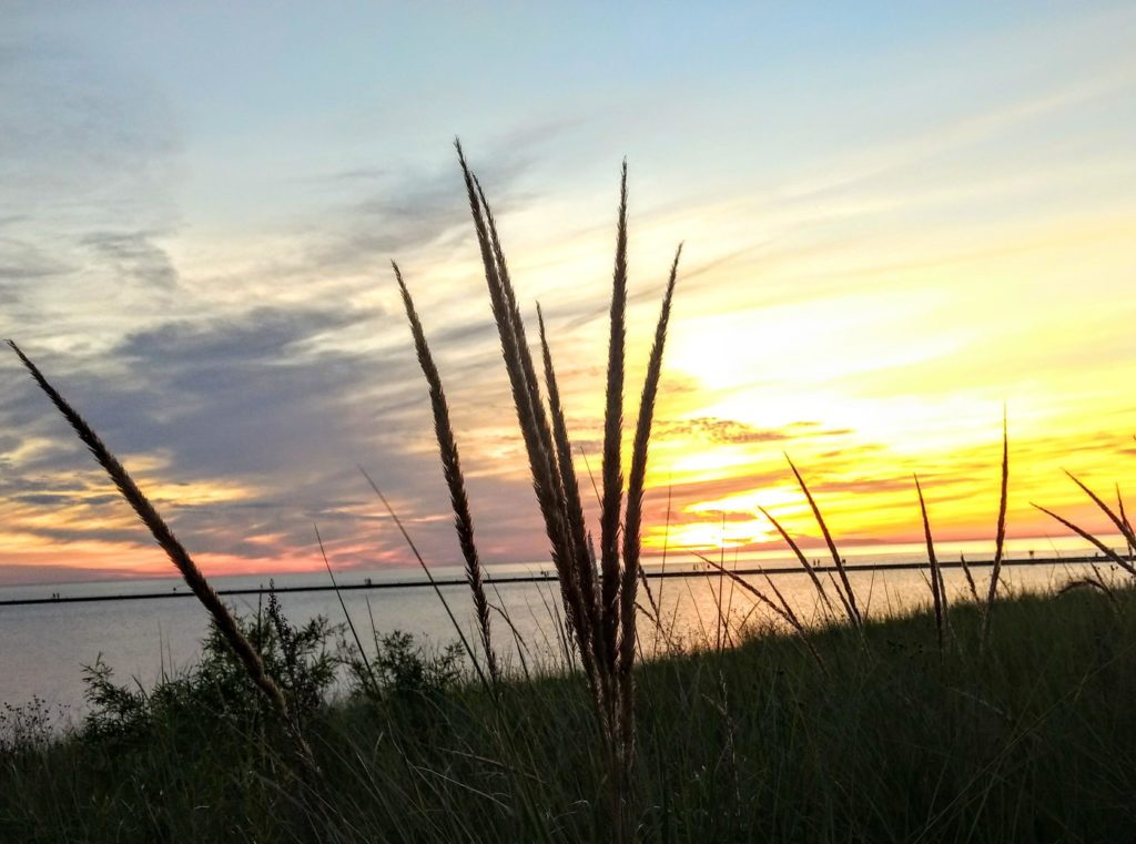 Looking through the tall grass on the shore in Frankfort, Michigan at a long pier extending out into the lake.