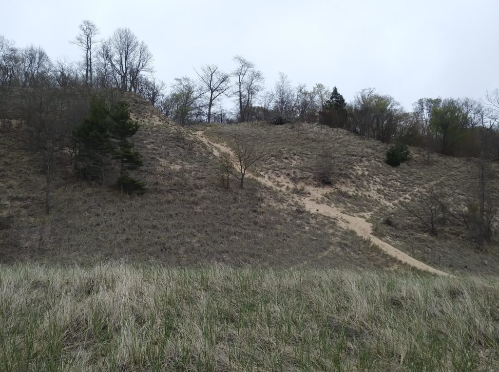 A hillside with a sandy path and trees in Grand Haven, Michigan.