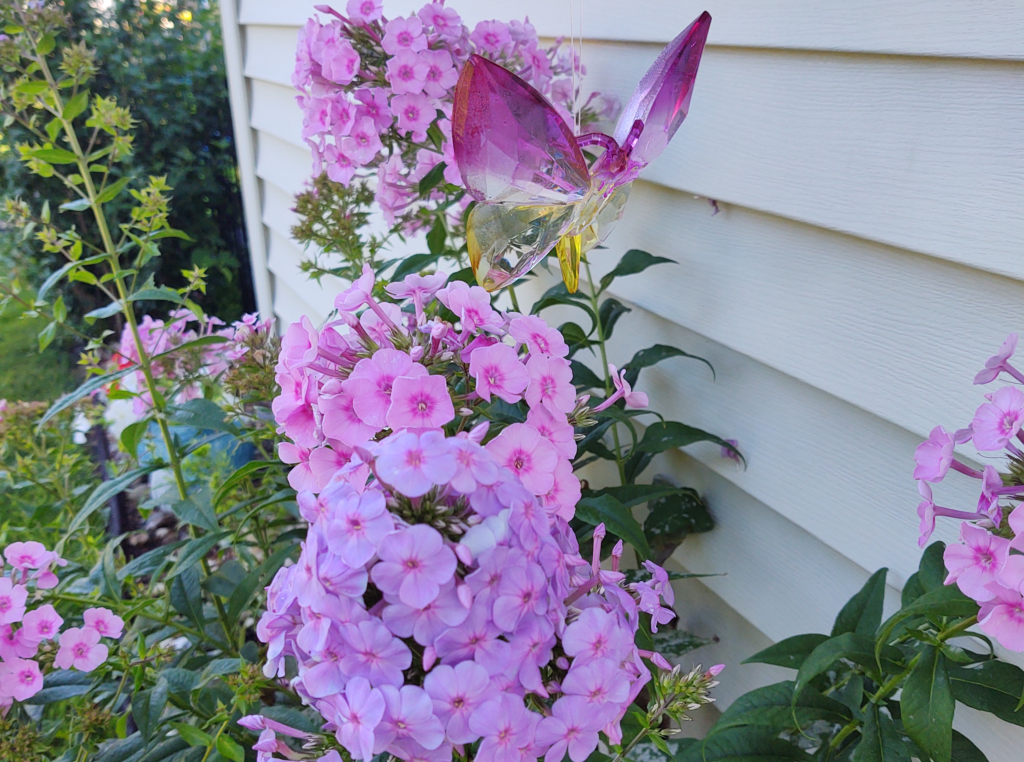 Light purple flowers on the side of a white house with a purple and yellow butterfly garden decoration.
