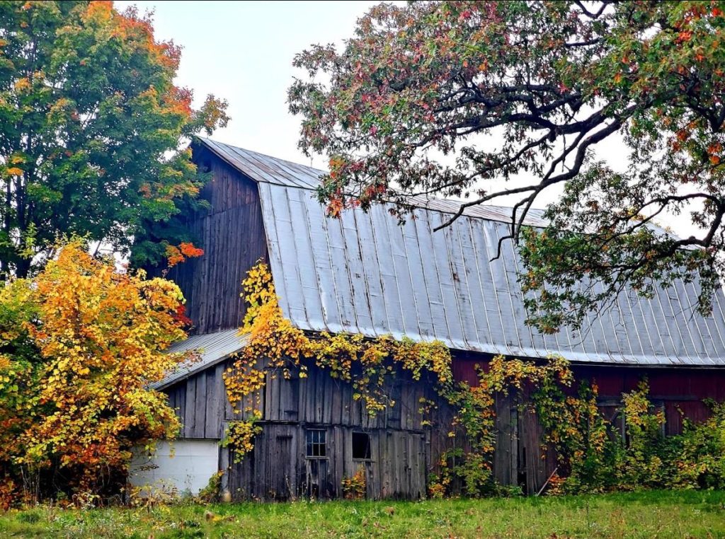An old weather worn wood barn with a metal roof in Kalamazoo, MI.