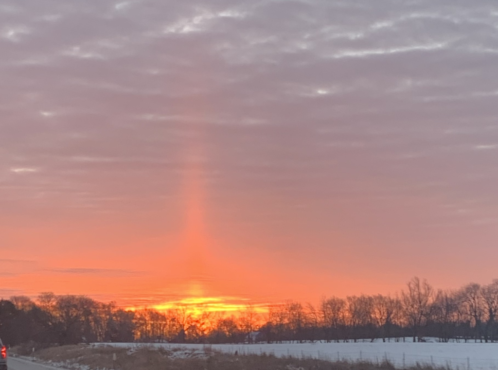 Sunrise on a winter day on a tree-lined horizon in Battle Creek, Michigan.