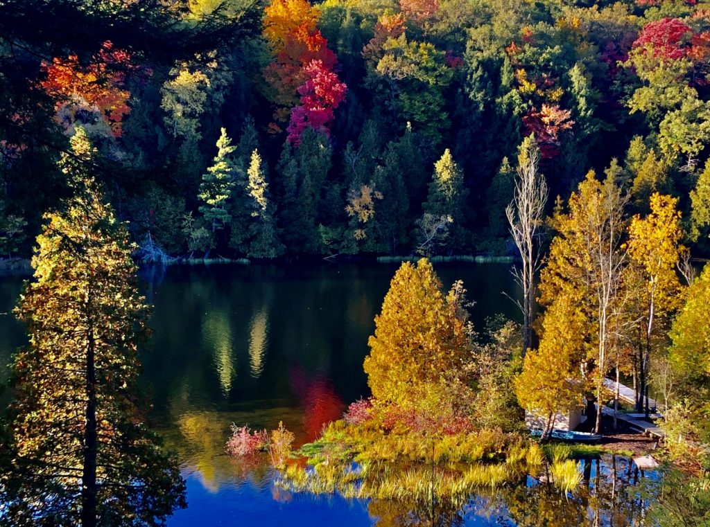 The vivid colors of autumn trees reflecting on a lake in Newaygo, Michigan.