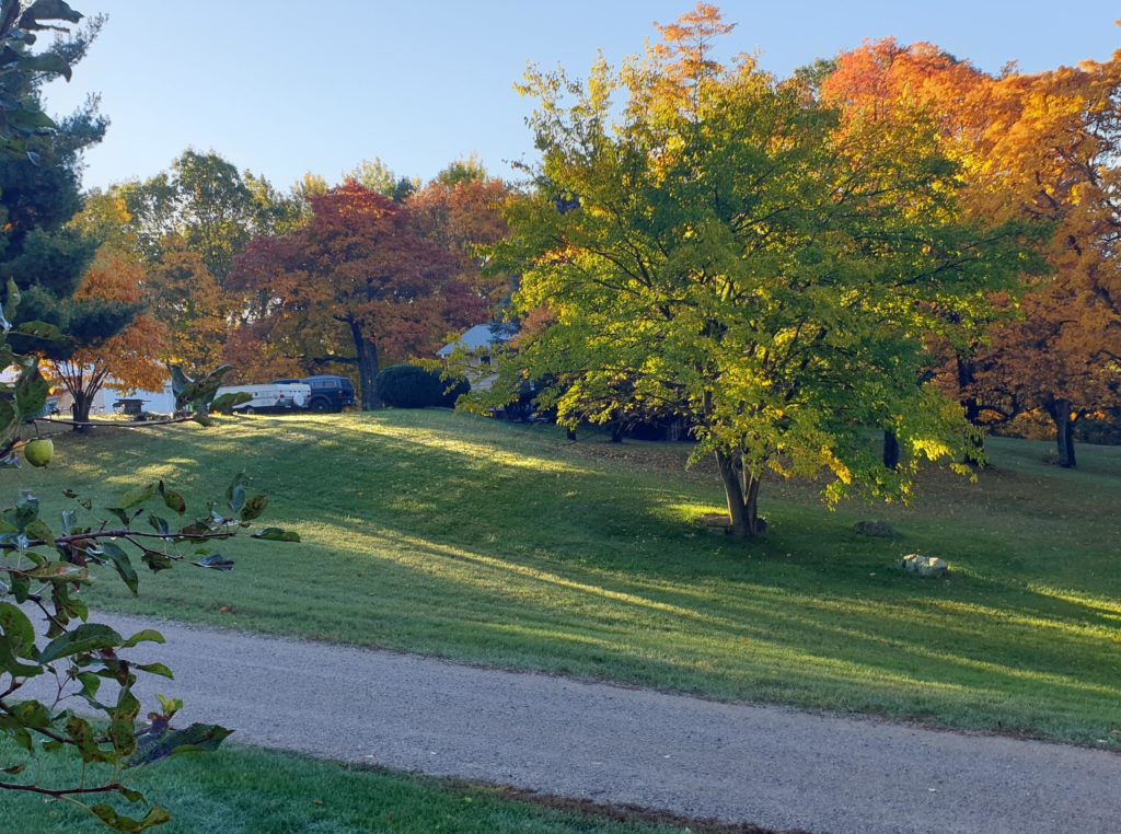 A residential home property in Pine Grove Township, Michigan.