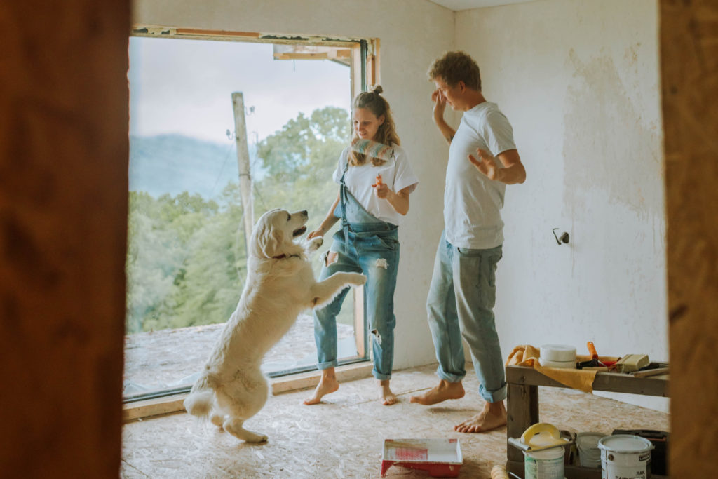 Male and female couple renovating a house while golden retriever dog jumps.