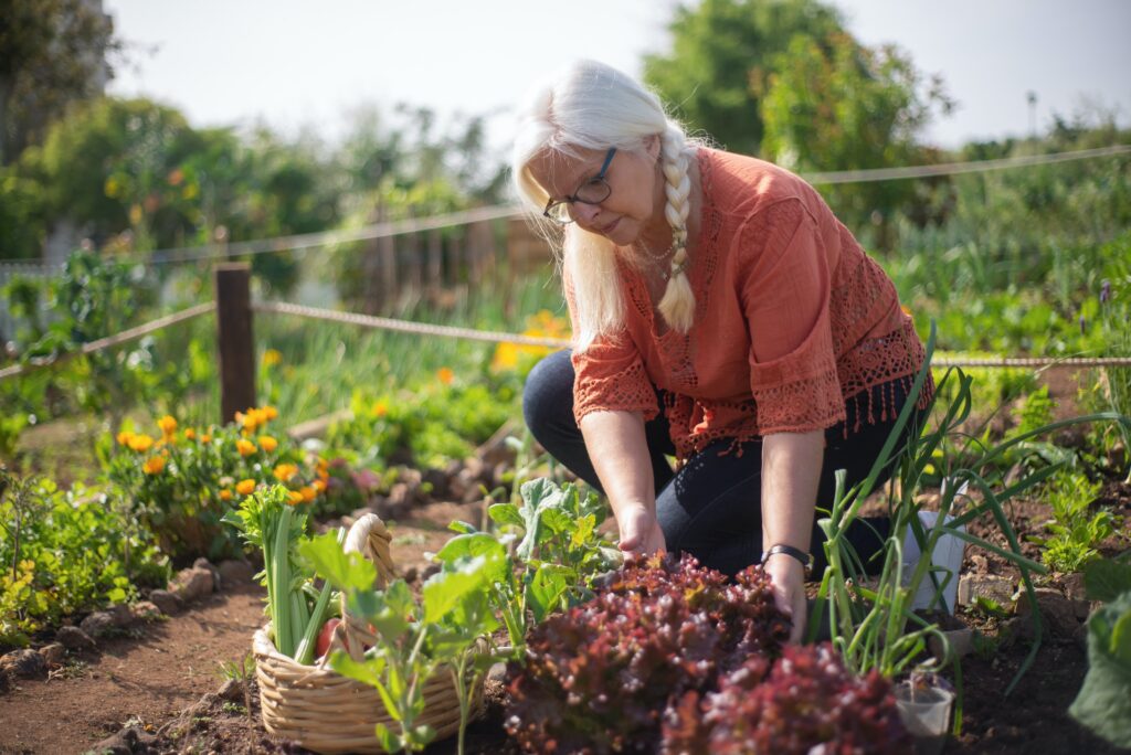 A woman with long white hair kneeling in a garden to care for her harvest.