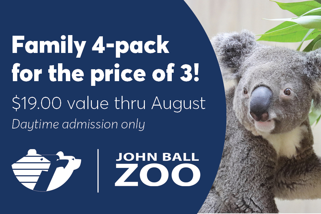 Family 4-pack for the price of 3 admission deal