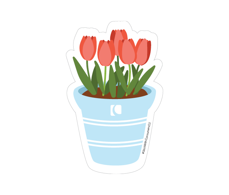 Light blue flowerpot with pink tulips