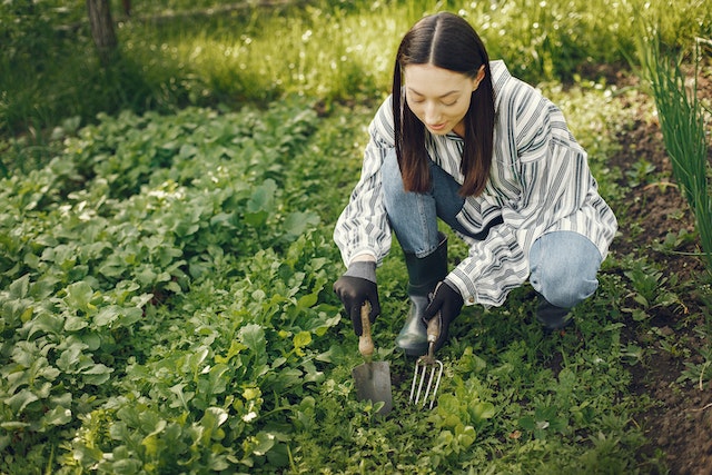 A woman with long, dark hair kneeling and tending to a garden.