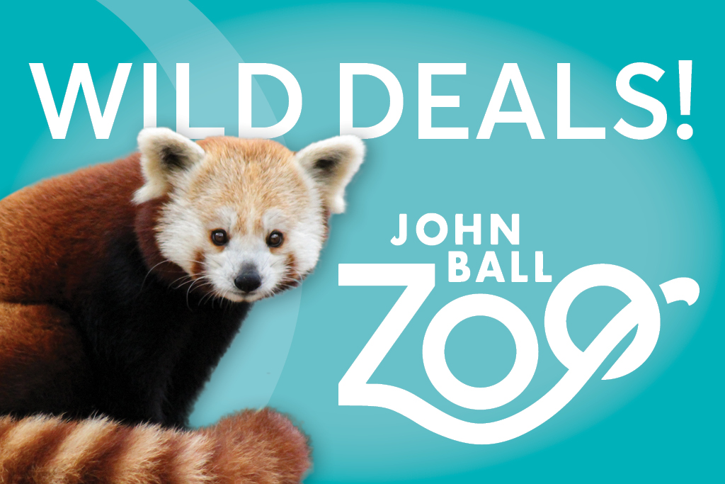 Wild Deals with John Ball Zoo