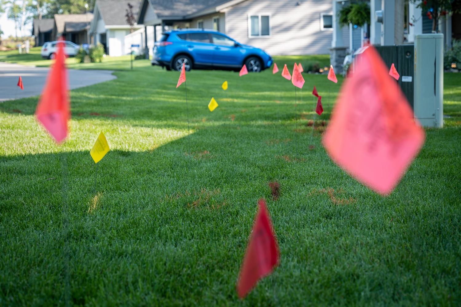 Warning or utility flags on the grass of a residential lawn.