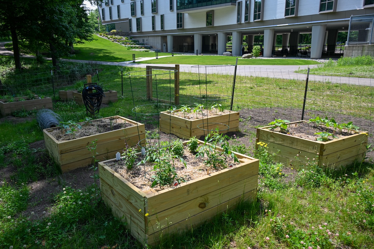 A group of raised garden beds behind a building.